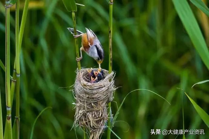 一个民营企业家的创新之路,一位民营企业老板的感悟