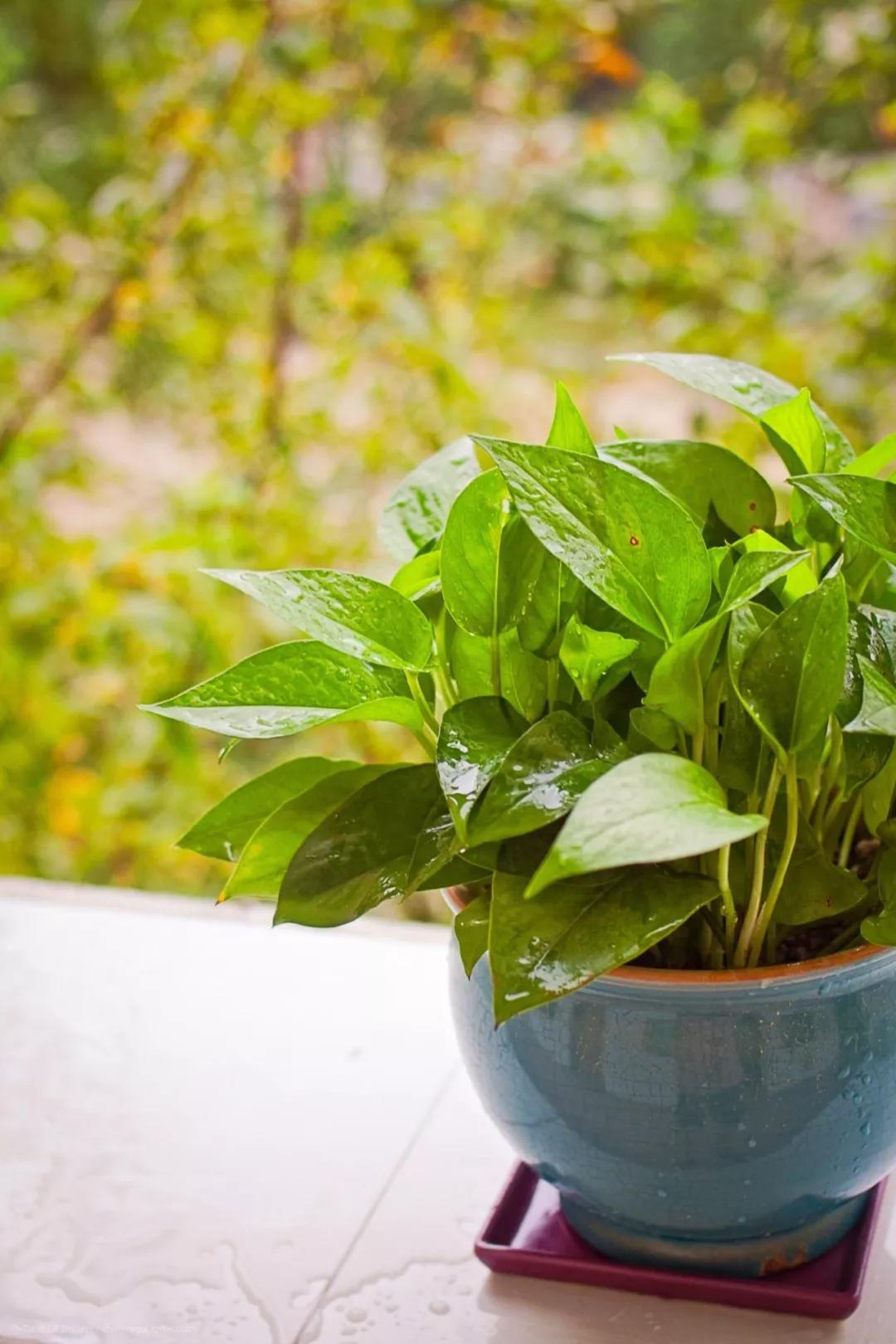 淡季花店如何吸引顾客,淡季花店如何运营