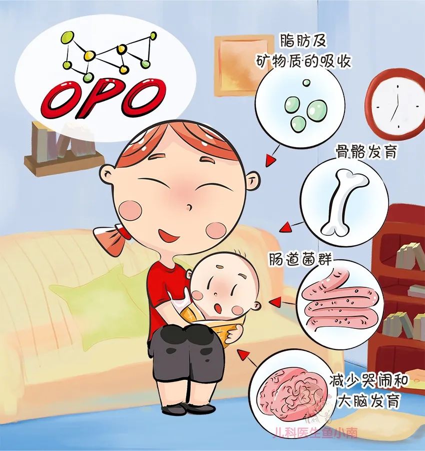 选奶粉主要看什么内容,选奶粉不再犯难几招教你轻松搞定