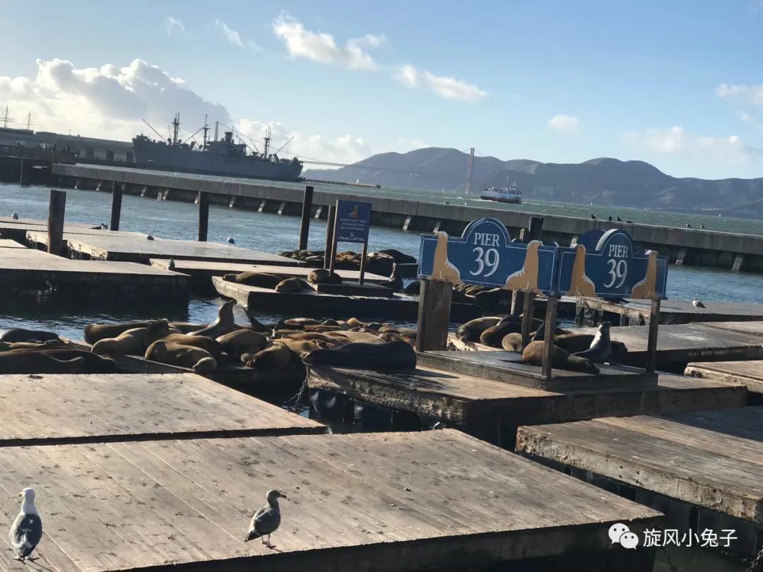 加州沿海1号公路自驾游散装系列（一）：阳光北加的金山依旧