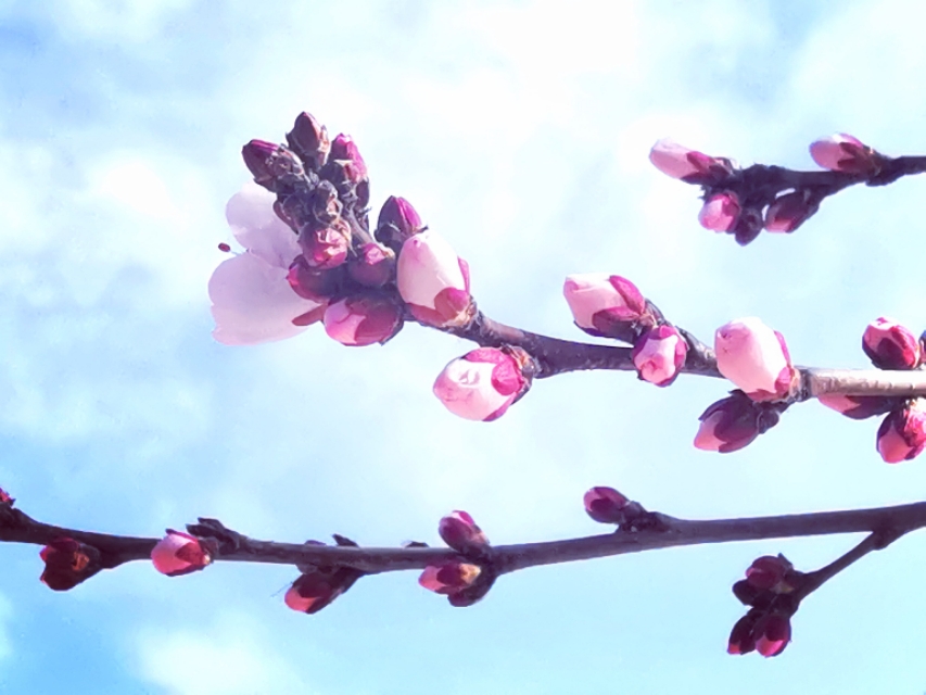 部编版语文注音汇总,部编二年级下册语文注音练习