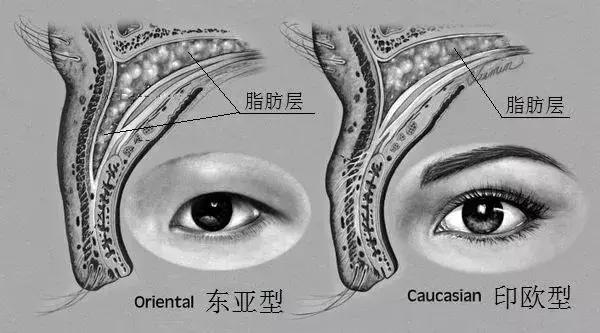 双眼皮真的有那么漂亮吗,自然双眼皮和割的双眼皮内在区别