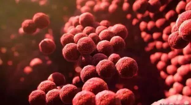 有多少人在怀念小时候的味道,有多少人还记得小时候的味道