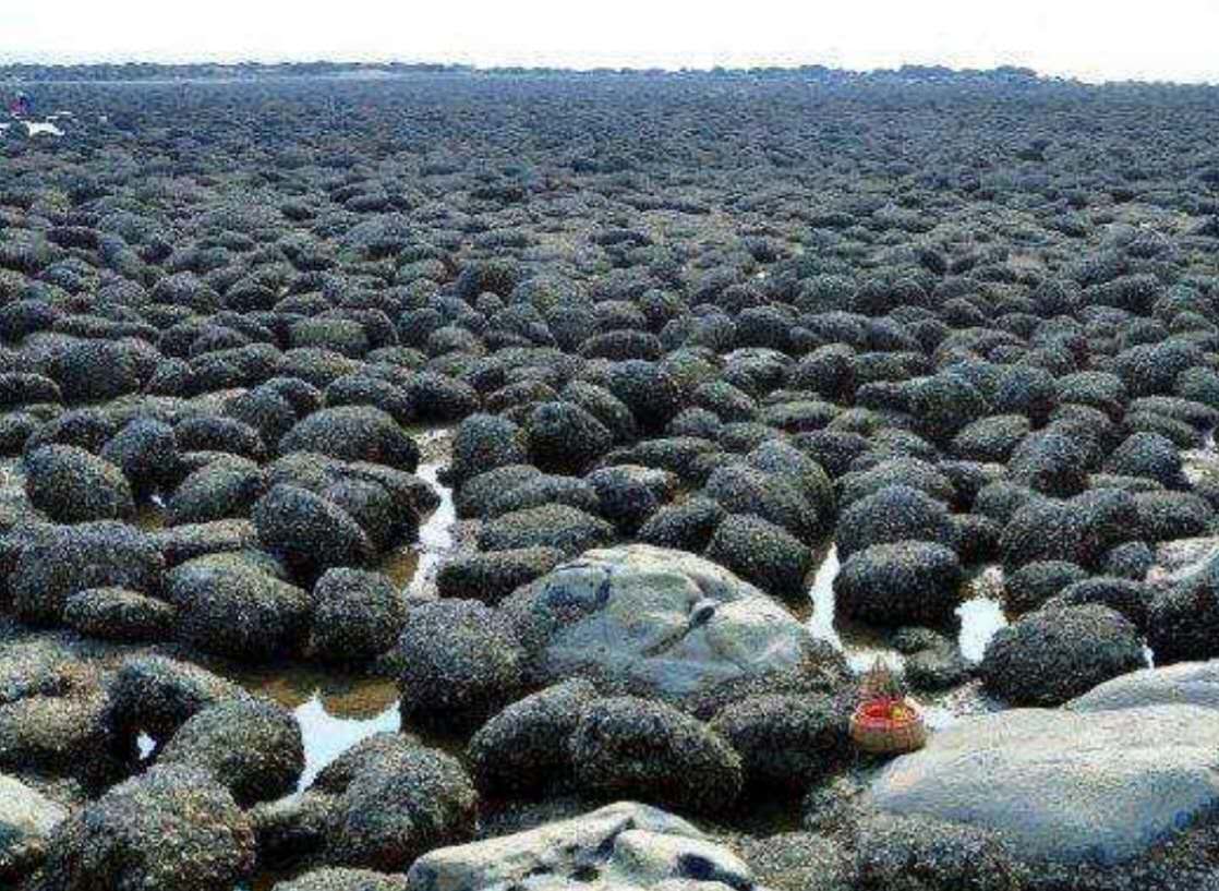 航拍徐闻大汉三墩风景区,大汉三墩旅游区