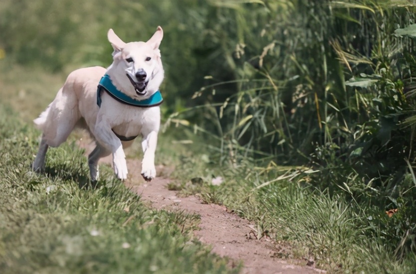 如何释放快乐激素,4种快乐激素