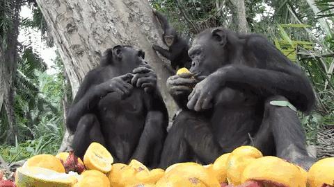 「*袜丝**」吸引着男人的秘密，你懂它的独有魅力吗？