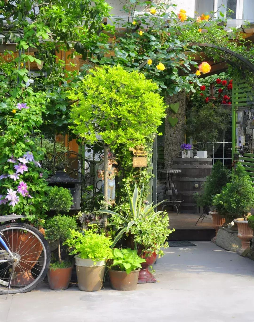 她40岁之前忙成狗，40岁之后在上海买房隐居