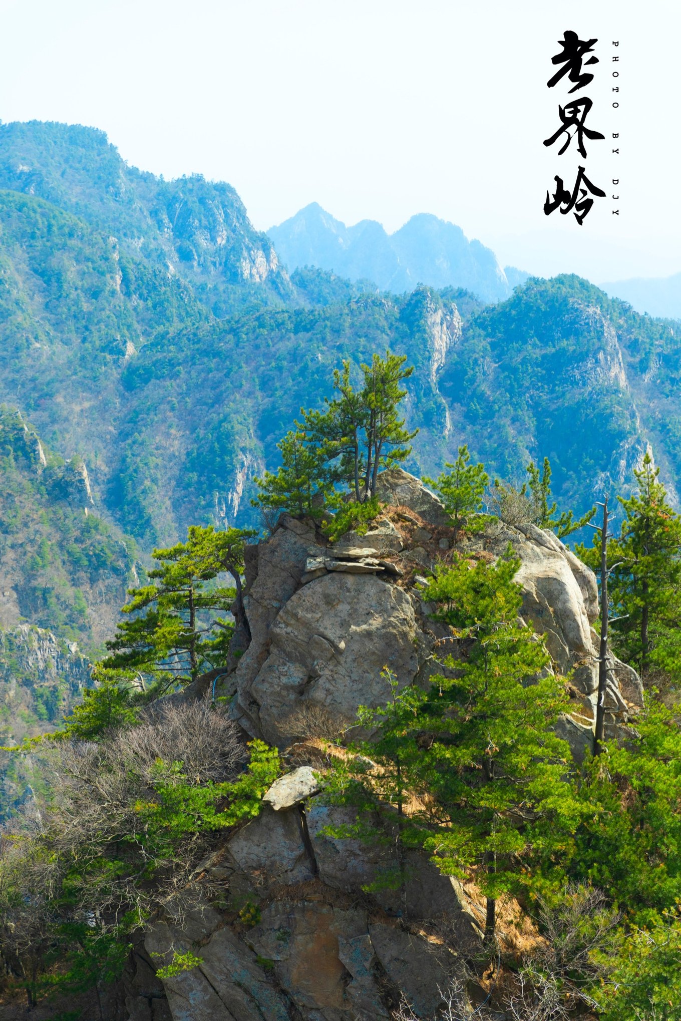 游览老界岭的感悟,河南老界岭景区