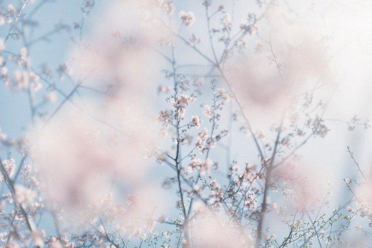 旅游西双版纳跟团游坑不坑 (泰国跟团游防坑2017)