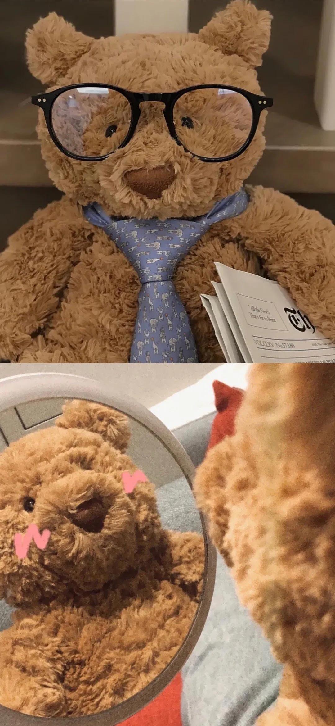 巴塞罗那熊4k壁纸,巴塞罗那熊高清手机壁纸