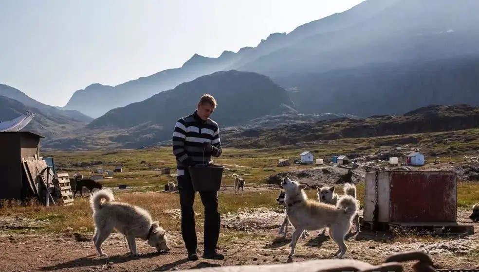 小国荷兰足球天下无敌,足球小国冰岛崛起