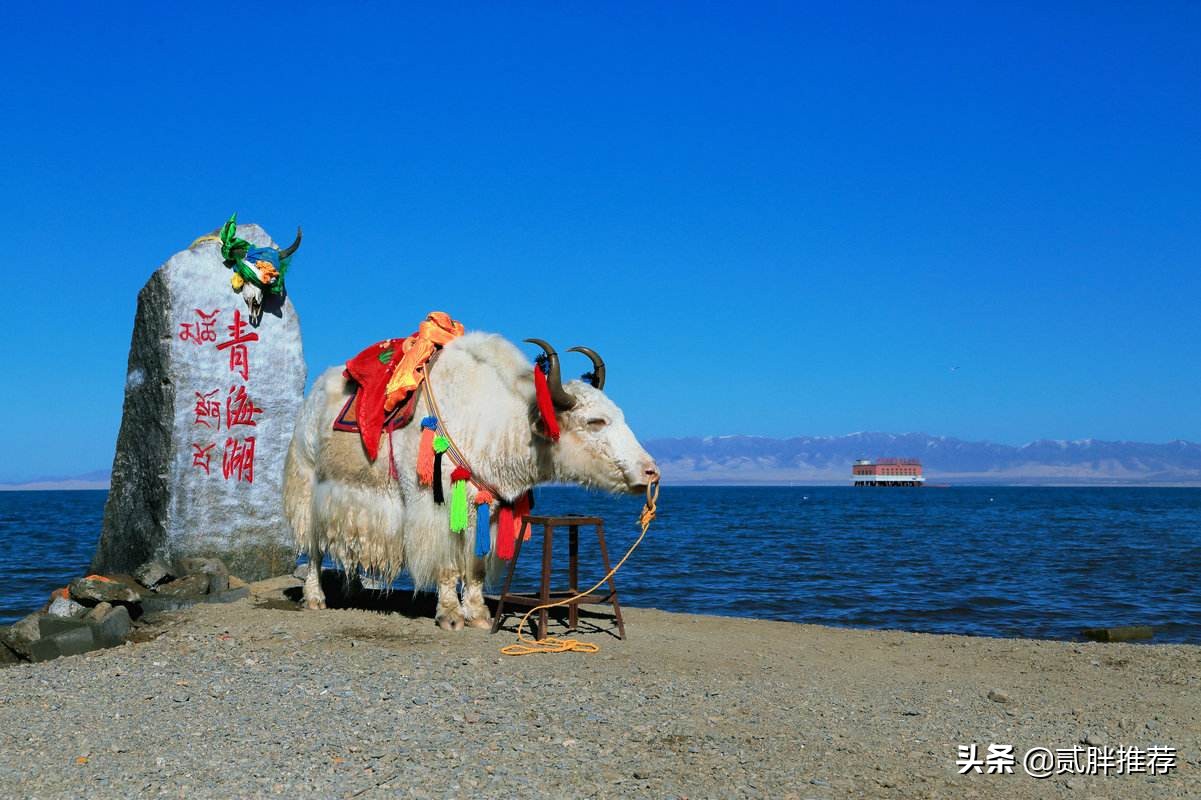 中国四大咸水湖十大淡水湖排名,中国最大咸水湖和淡水湖排名榜