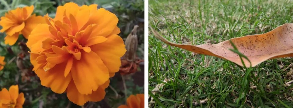 灏忕背cc9pro瀵规瘮灏忕背10pro,灏忕背cc9pro鎷嶇収璇勬祴瑙嗛