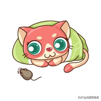 猫咪不怎么睡猫窝怎么办,猫主子不想起床