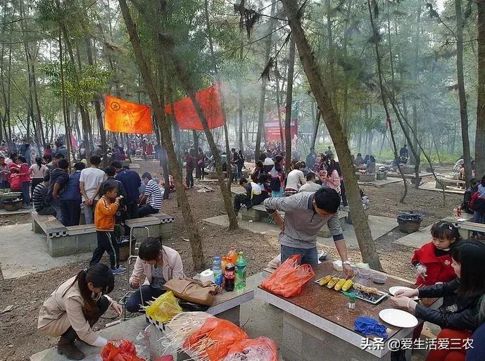 在农村如何致富,农村也能致富的小妙招