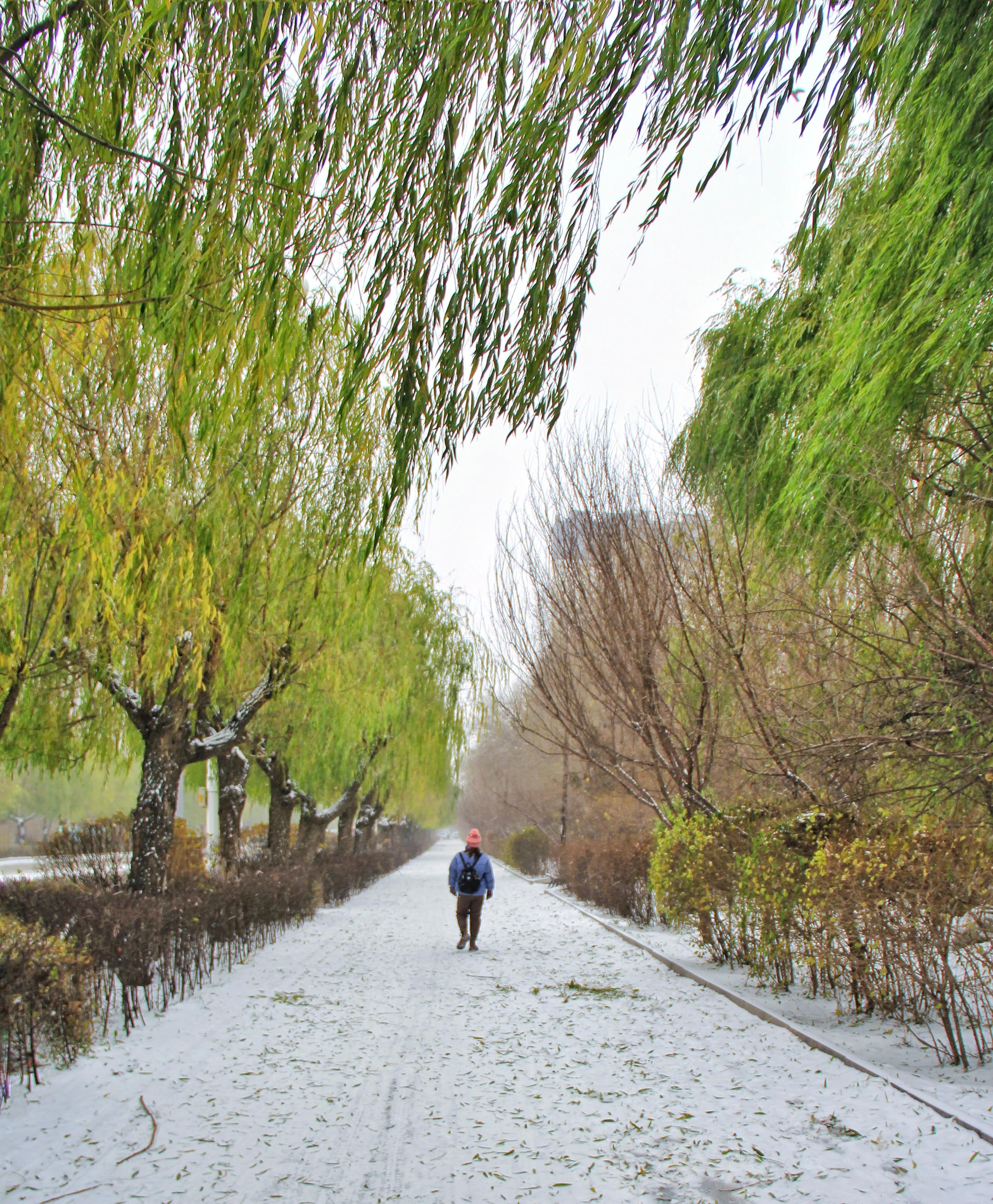 包头清雪,包头初雪航拍