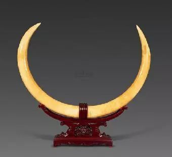 文玩的十大黑幕,文玩最让人无奈的六件事