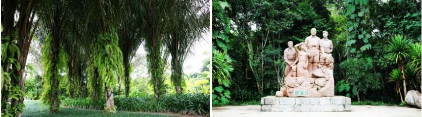 西双版纳原始森林门票,西双版纳所有景点门票一览表