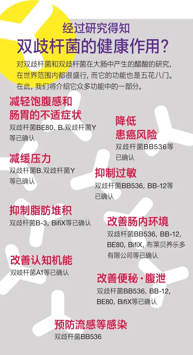 大肠健康管理,大肠杆菌对身体的益处