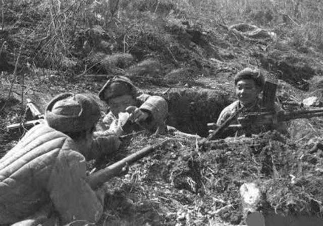 中国狙神张桃芳动画叫什么,中国狙神张桃芳短视频