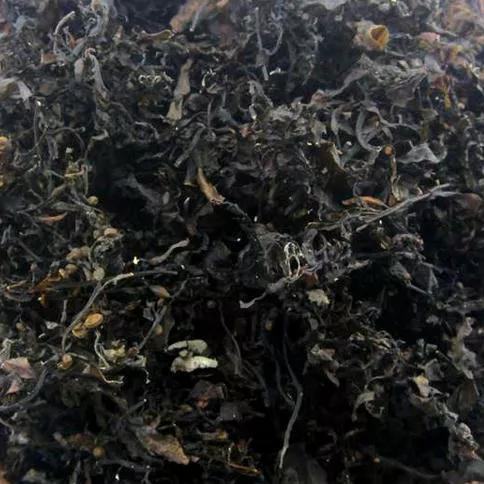 干货海产品视频,海产品干货的种类大全