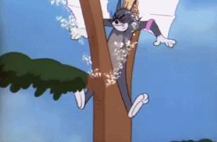 小时候看不懂猫和老鼠的故事,小时候看猫和老鼠动画片