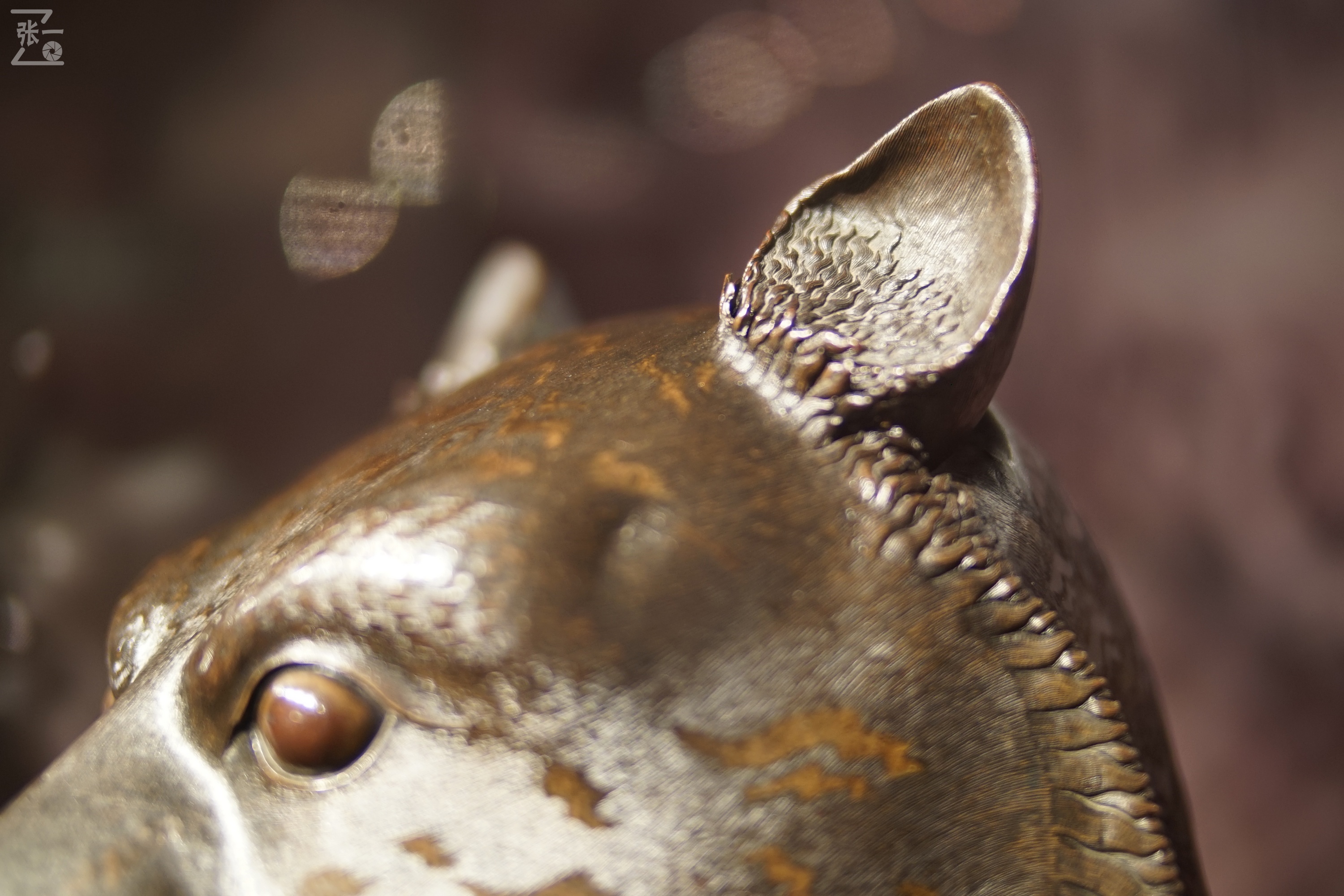 中国产微单,24-135镜头索尼