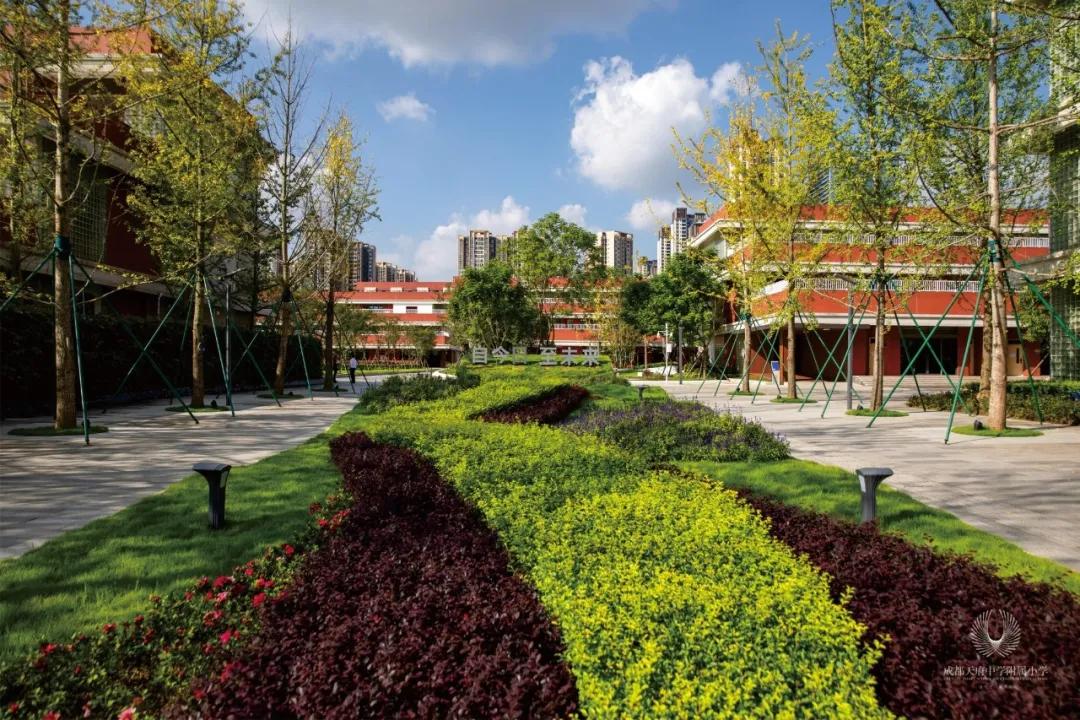 成都私立小学学校招生,2020年成都私立小学招生