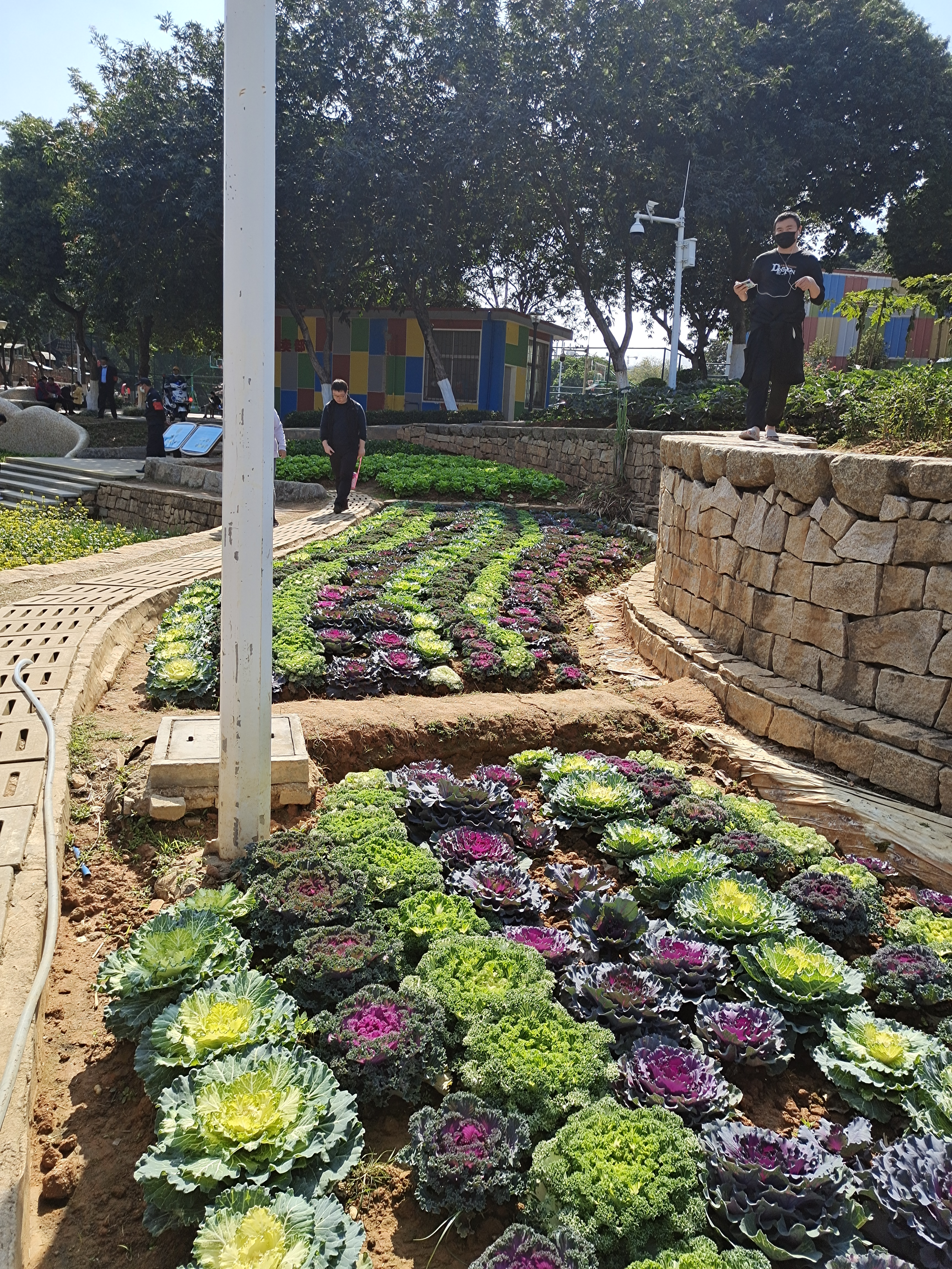 广州儿童公园成亲子乐园,2019广州儿童公园