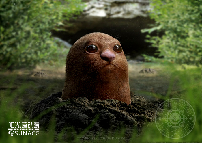 国外画精灵宝可梦,插画宝可梦