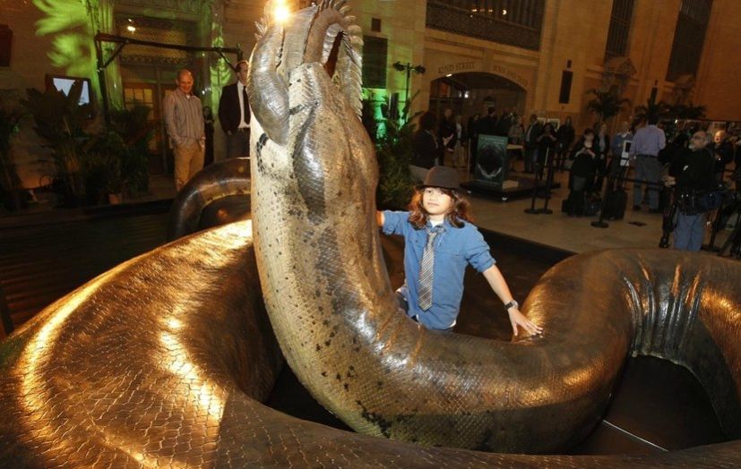 比沧龙都厉害的鳄鱼,淡水沧龙和鳄鱼竞争