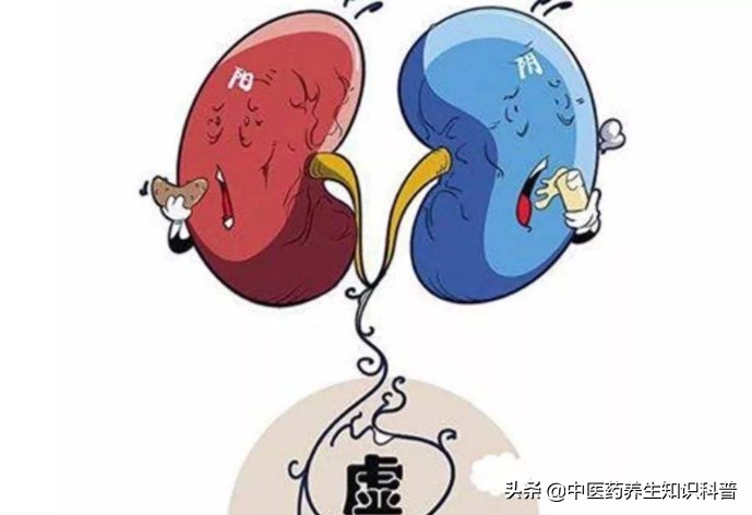 肾虚如何区分阴虚和阳虚,肾虚怎么去区分阴虚和阳虚