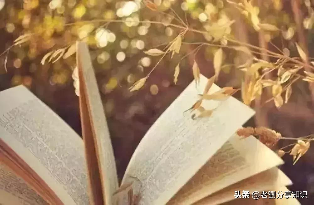 英语写作万能格言集锦90条,名言警句类英语作文万能句子