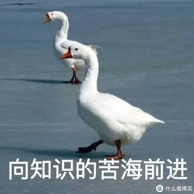 知网上买的文献下载都要钱怎么办,知网论文如何免费看呢