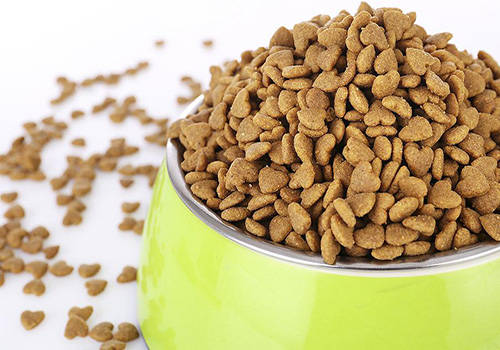 狗狗挑食不吃狗粮怎么办搞笑视频,散养的狗狗不听话怎么训练