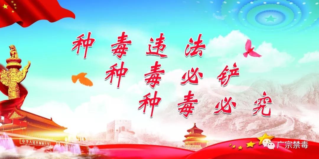 公安局禁种铲毒责任书,公安局禁种铲毒推进会