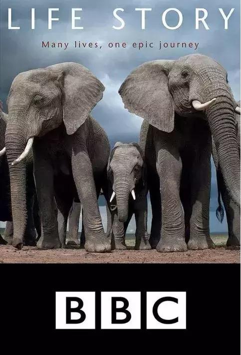 长春家长都领着孩子在干这件事儿，你没做，就落后了！