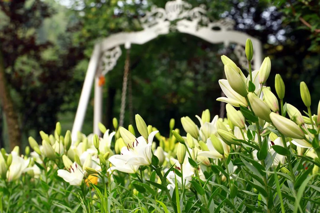 在济南花式避暑，一见“清”心！只需一瞥，便足以把酷夏原谅…