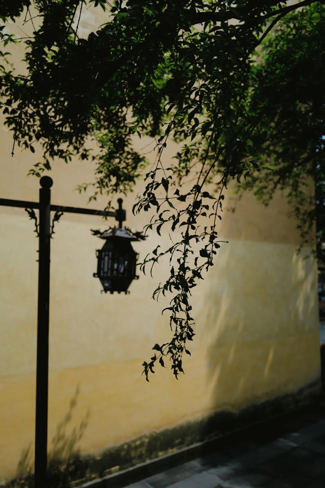 重庆哪几个月不适合旅游,重庆到底值不值得去旅游