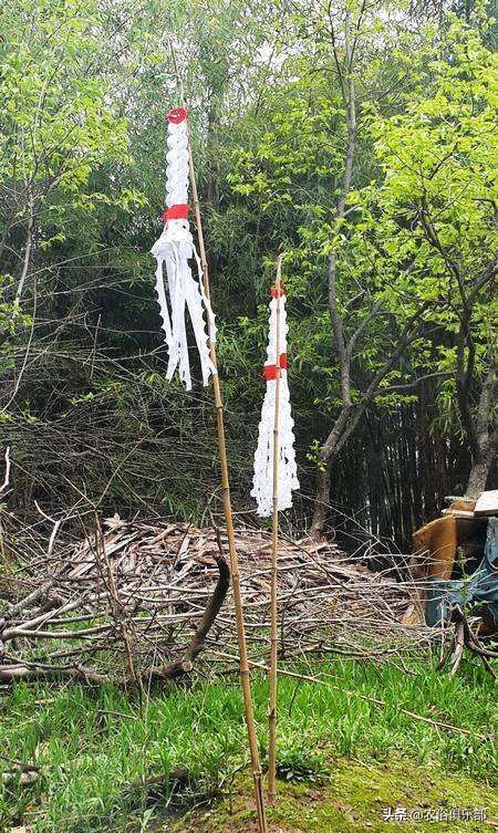 清明节上坟烧纸的正确方法,清明节扫墓白纸还是黄纸