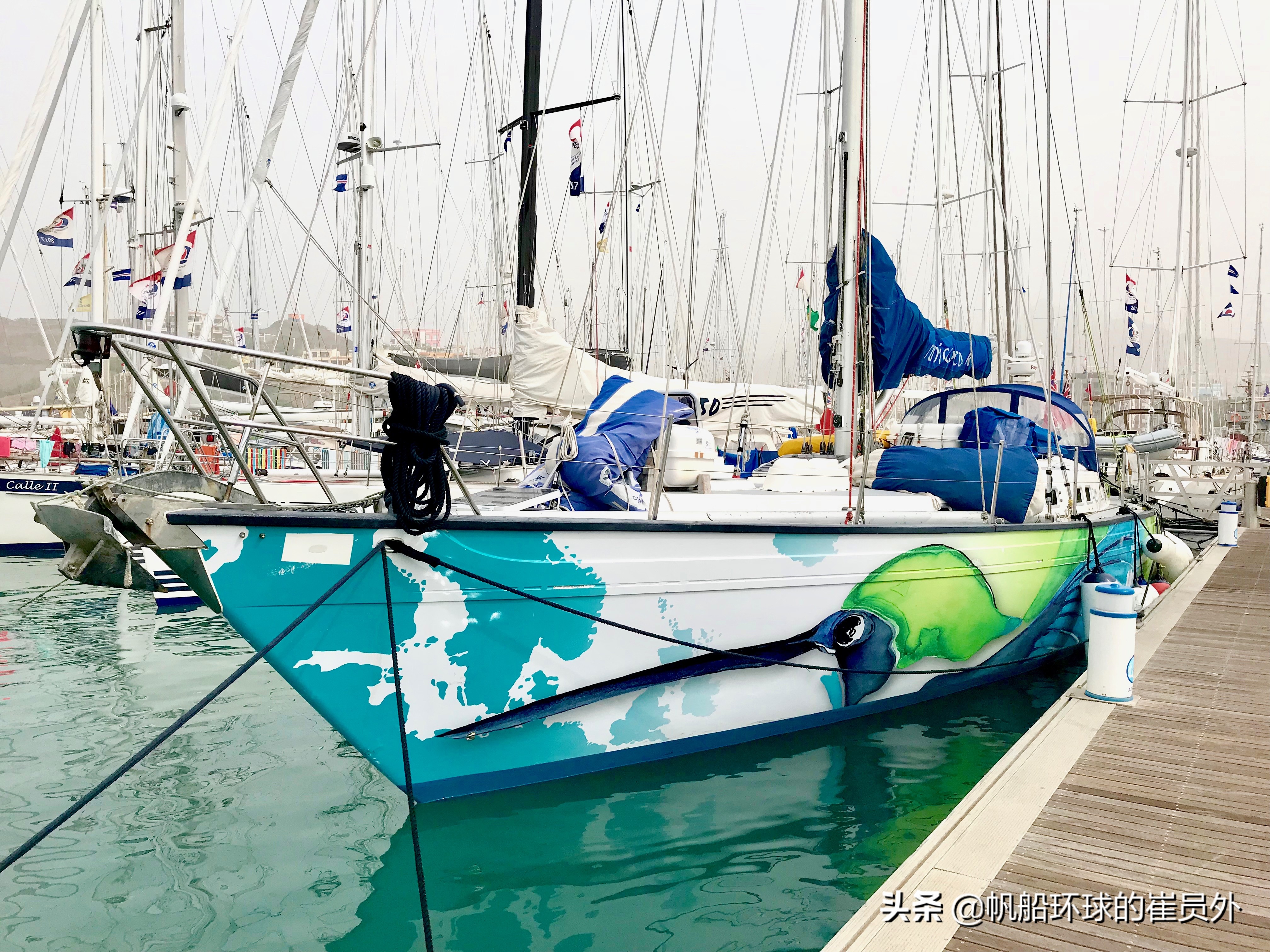 帆船航海的国际驾照,开帆船需要驾照么