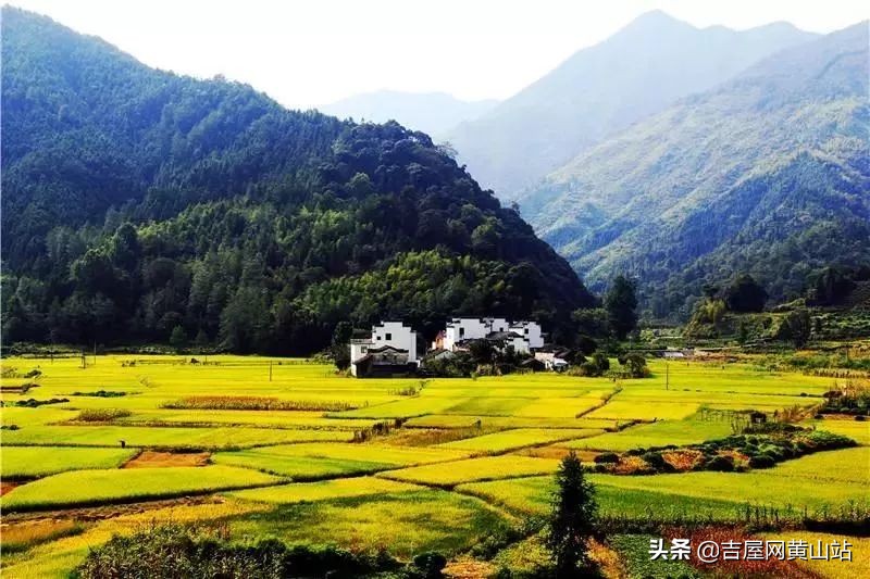 黄山楼盘首付2万小户型,总价10万一套的房子黄山