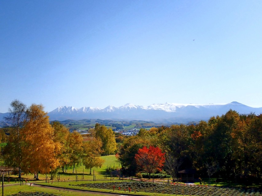 日本从南到北旅游路线,从南游到北