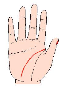 手相解密,手相掌纹分析学