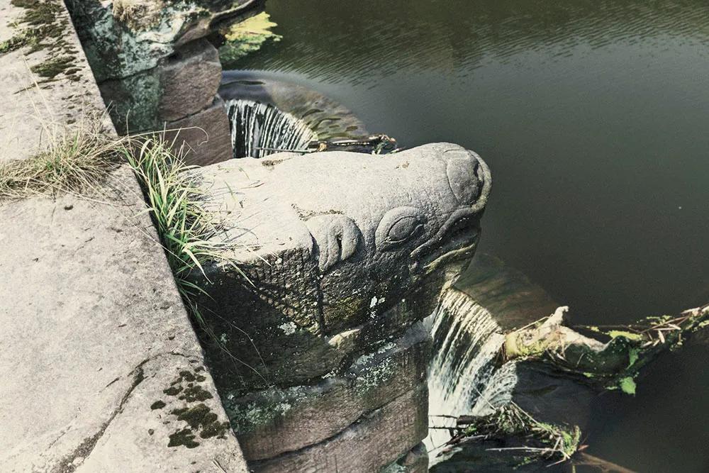 你知道么？九龙坡最好看的几座桥都在同一条大溪河上