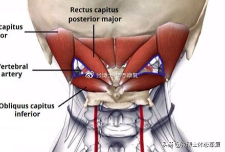 颈部僵硬康复训练方法,如何缓解肩颈肌肉僵硬