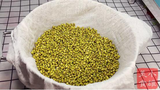 吃了几十年豆芽,怎么自己发豆芽最好吃