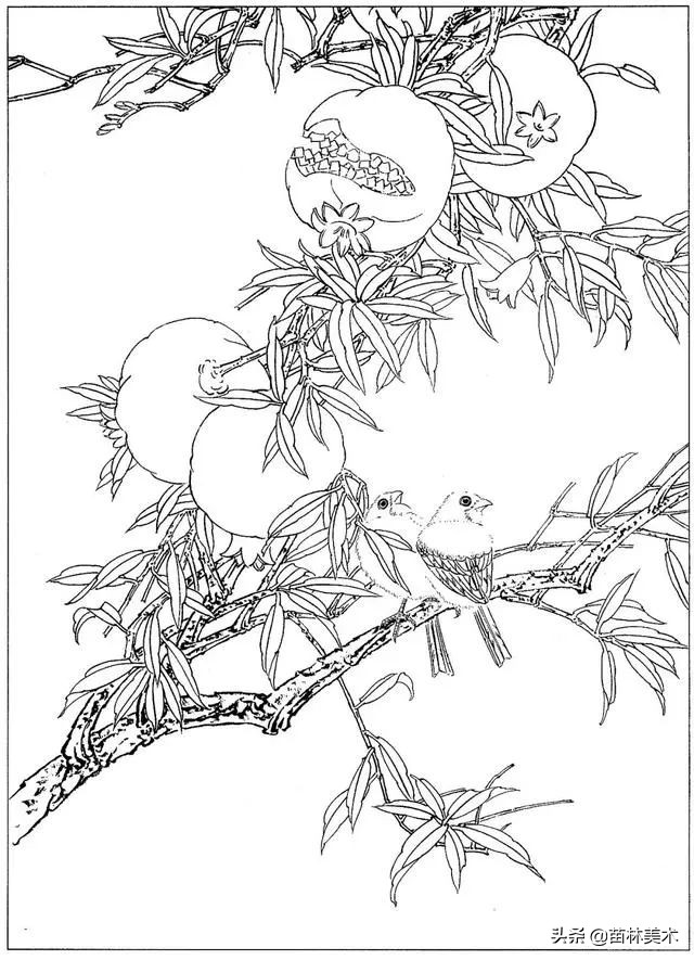 现代国画工笔花鸟白描及完整版,路雨年工笔白描花鸟团扇高清图片