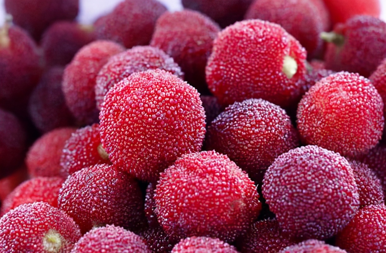 洗杨梅,用清水或者用盐水都不对,学会正确处理方法,干净放心吃