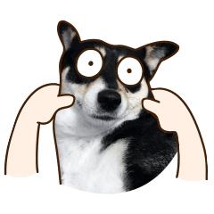 财富理财最好的方法,财富地图导航怎么设定路线